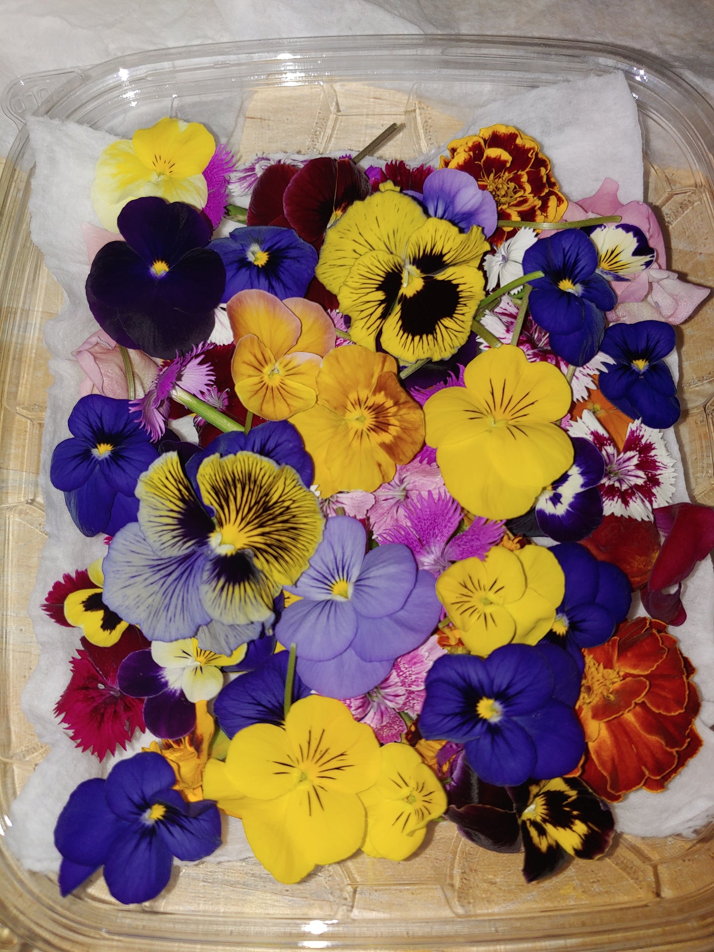 Edible Flowers